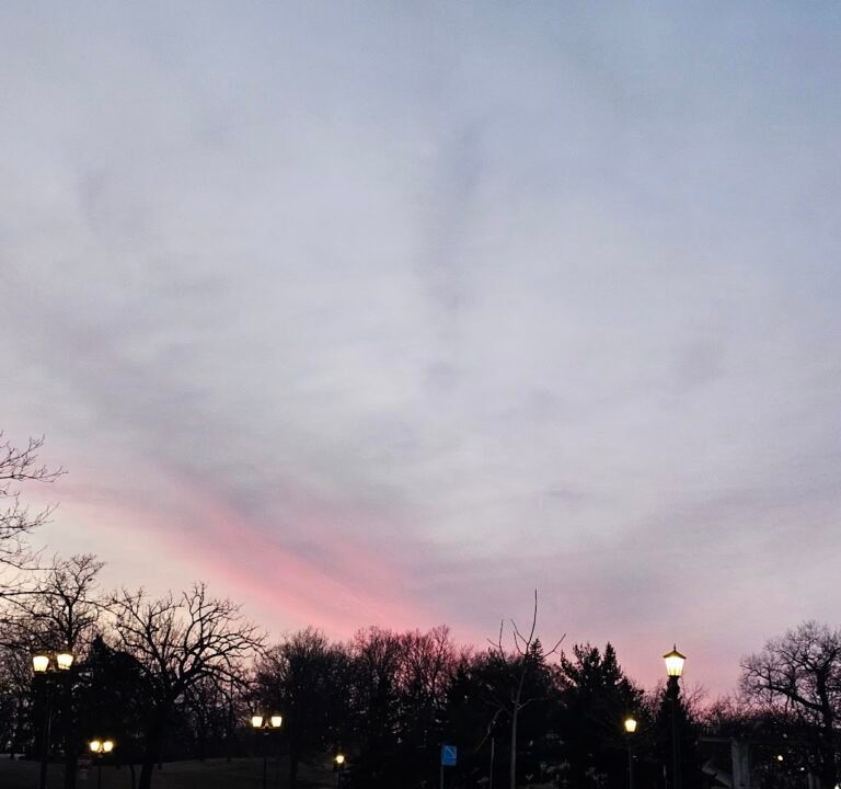 Soccer Field image 3