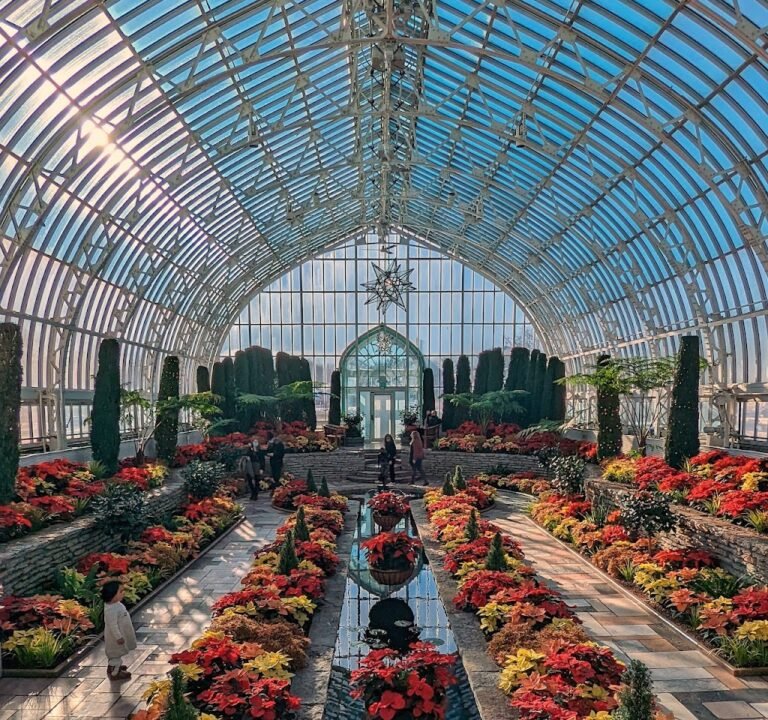 Soccer Field image 2