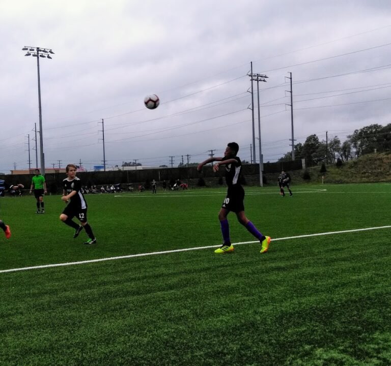 Soccer Field image 3