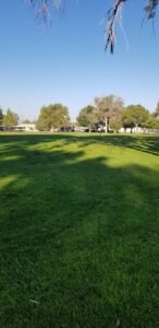 Soccer Field image 1