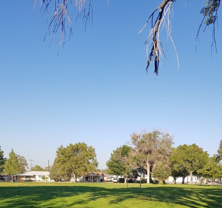 Soccer Field image 2