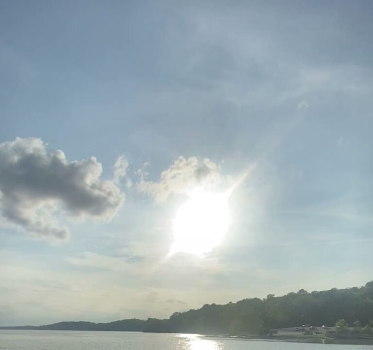 Soccer Field image 4