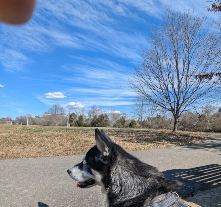 Soccer Field image 3