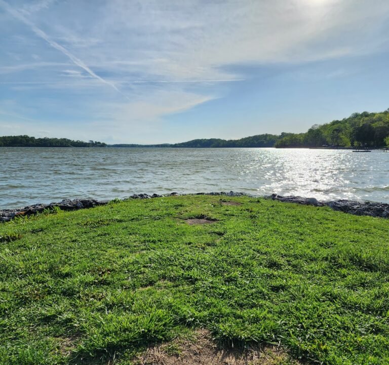 Soccer Field image 2