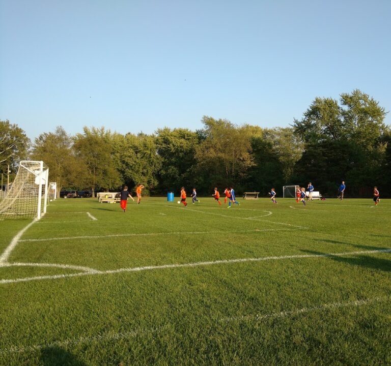 Soccer Field image 2