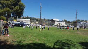 Soccer Field image 1