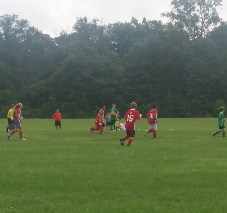 Soccer Field image 3