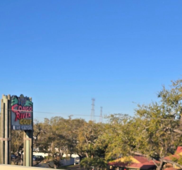 Soccer Field image 3