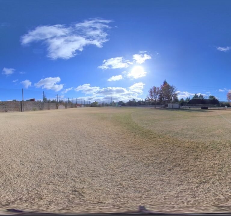 Soccer Field image 3