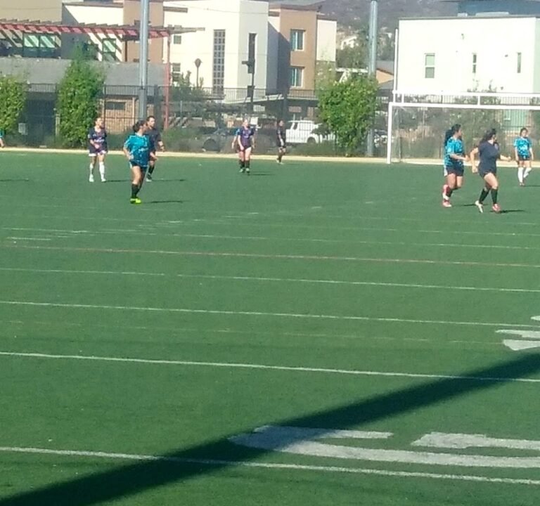 Soccer Field image 4