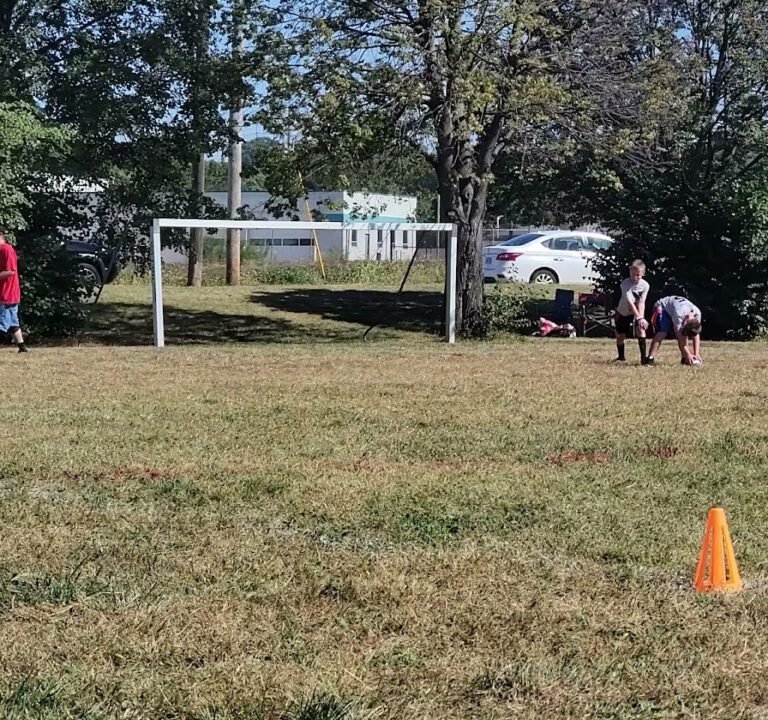 Soccer Field image 3