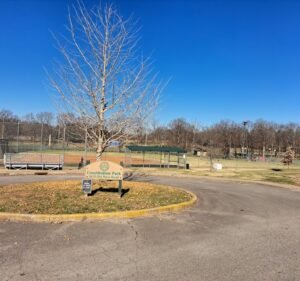Soccer Field image 2