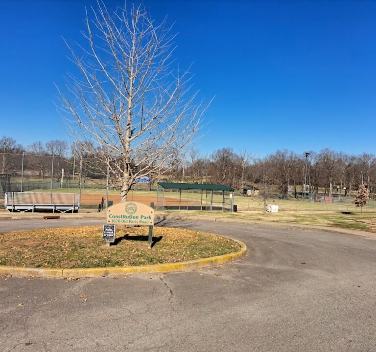 Soccer Field image 2