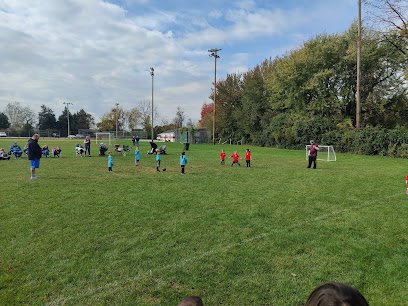 Soccer Field image 1