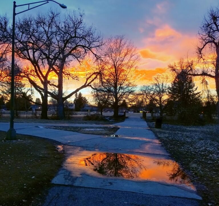 Soccer Field image 2