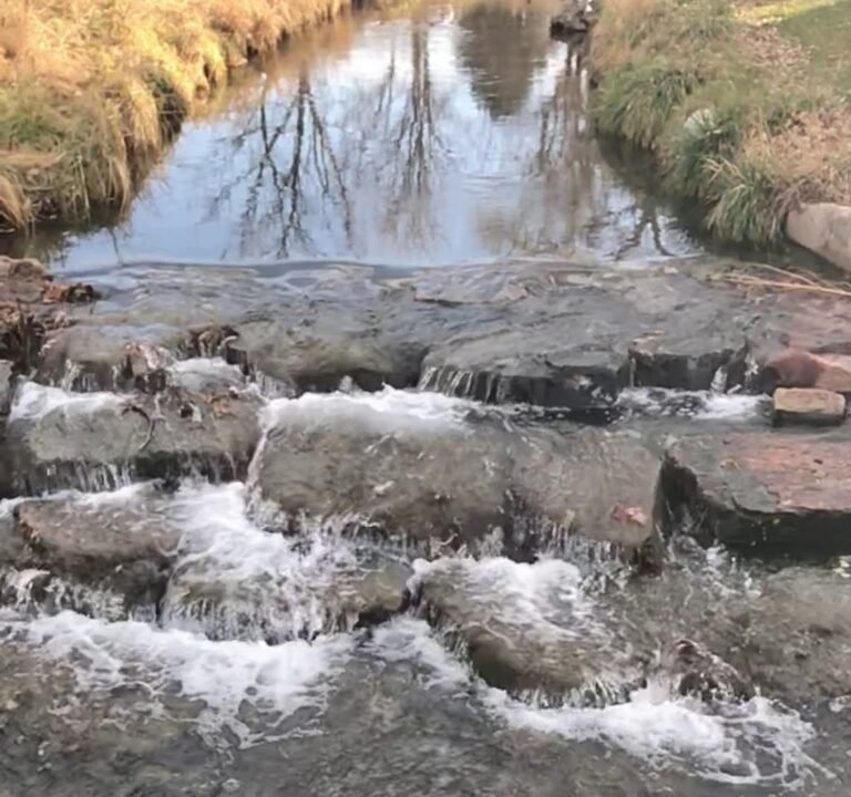 Soccer Field image 4