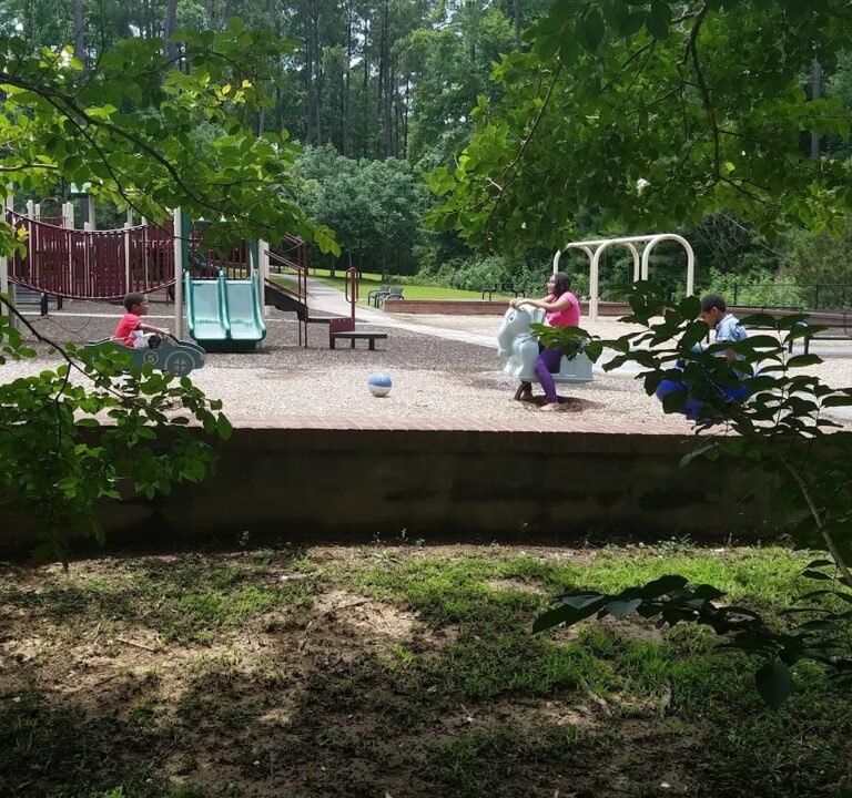 Soccer Field image 2