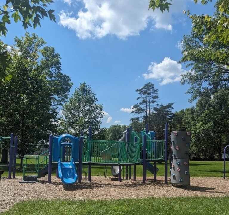 Soccer Field image 2