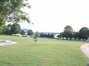 Soccer Field image 1