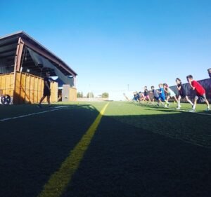 Soccer Field image 2
