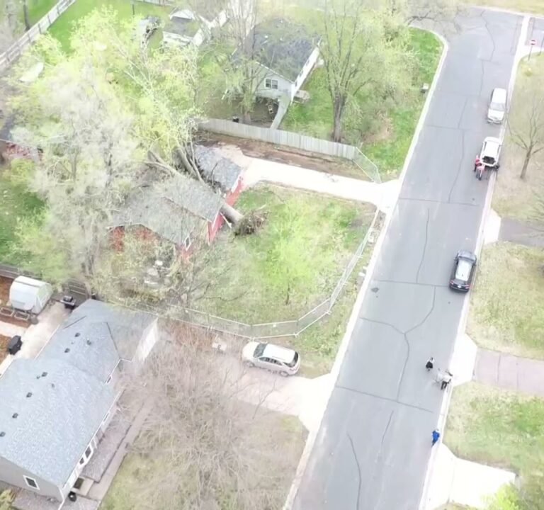 Soccer Field image 4