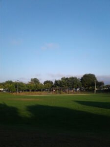 Soccer Field image 1