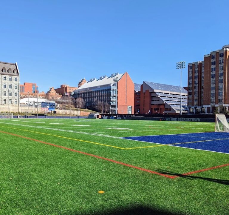 Soccer Field image 2