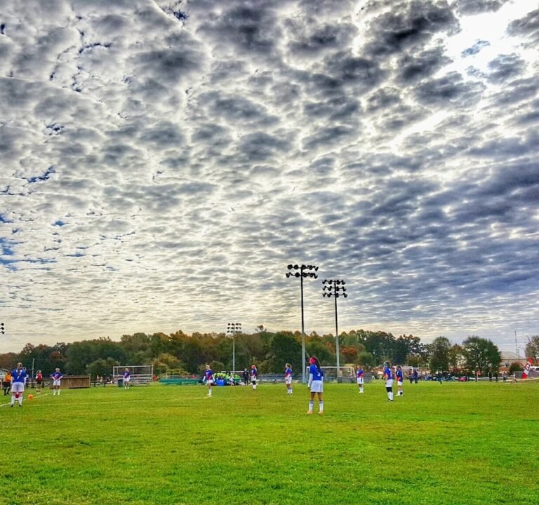 Soccer Field image 3