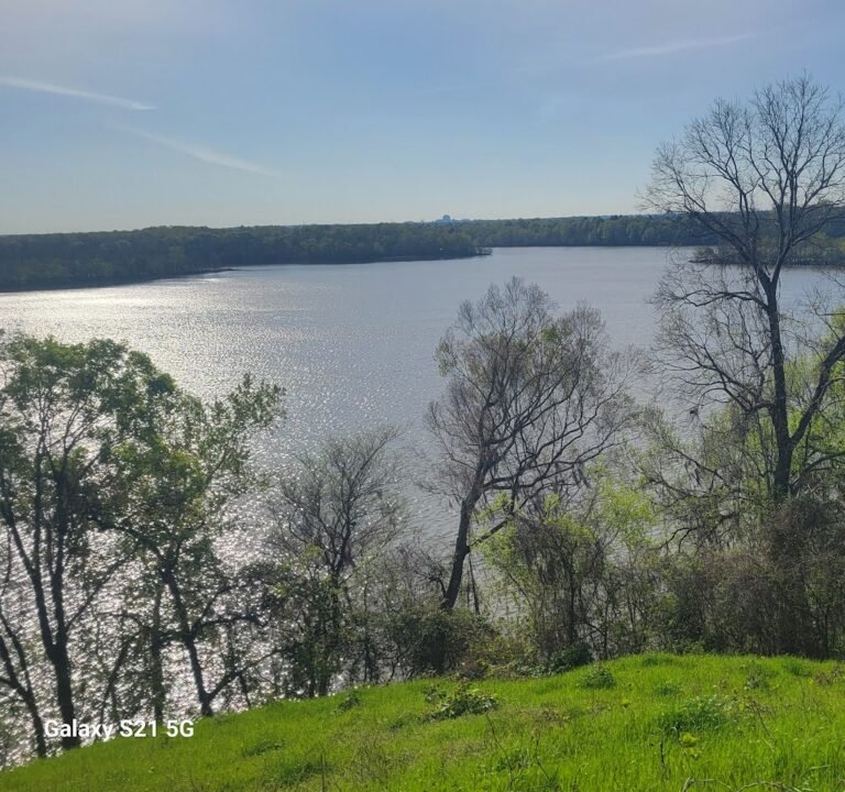 Soccer Field image 2