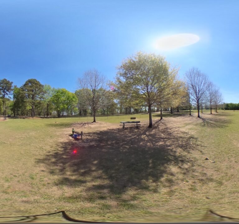 Soccer Field image 3