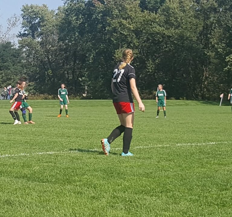 Soccer Field image 3