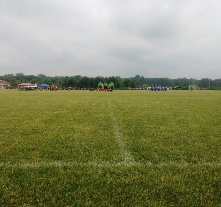 Soccer Field image 2