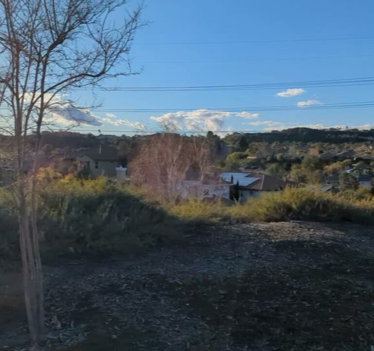 Soccer Field image 4