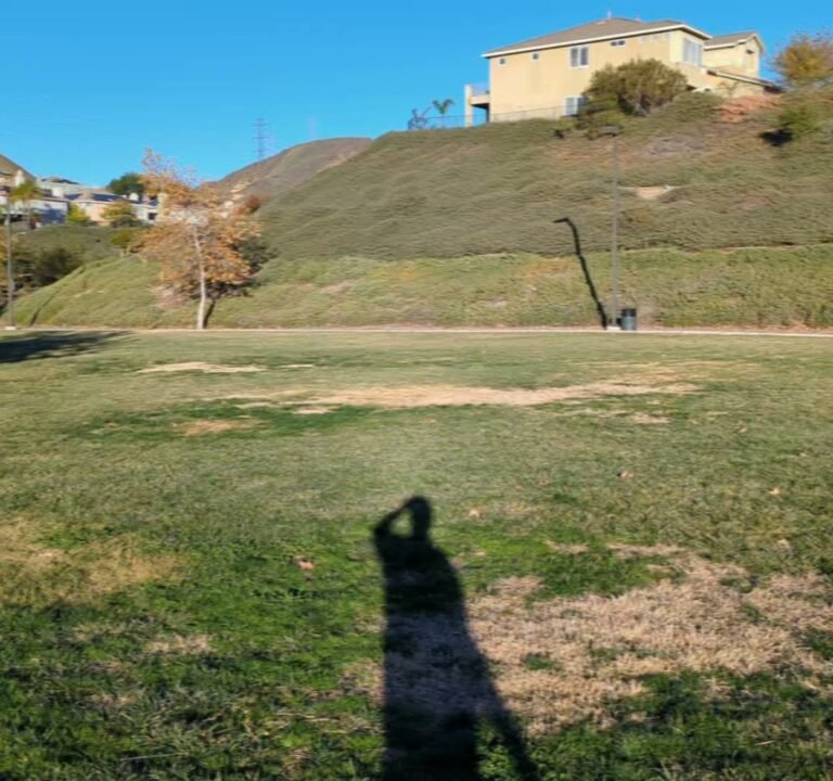 Soccer Field image 3