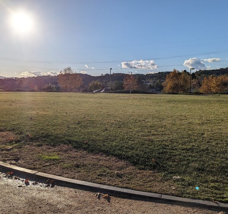 Soccer Field image 2