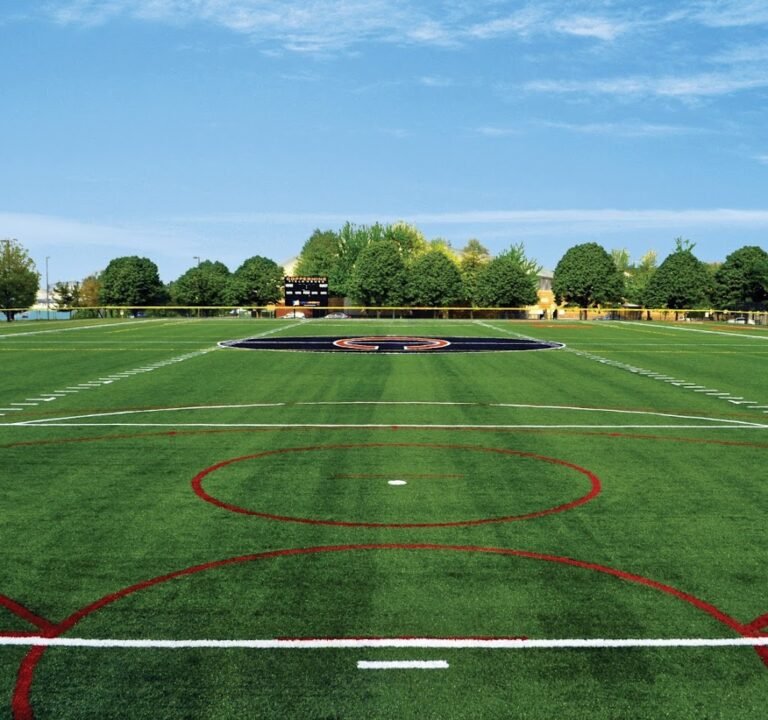 Soccer Field image 2