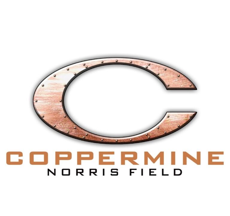 Soccer Field image 3