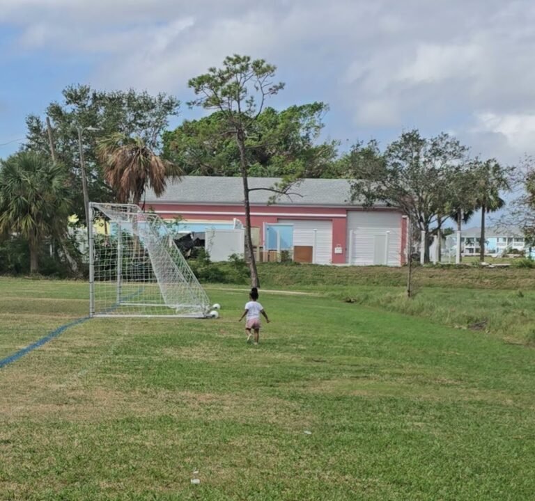 Soccer Field image 4
