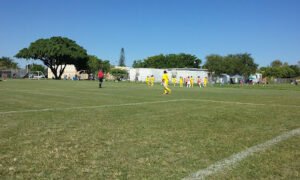 Soccer Field image 1