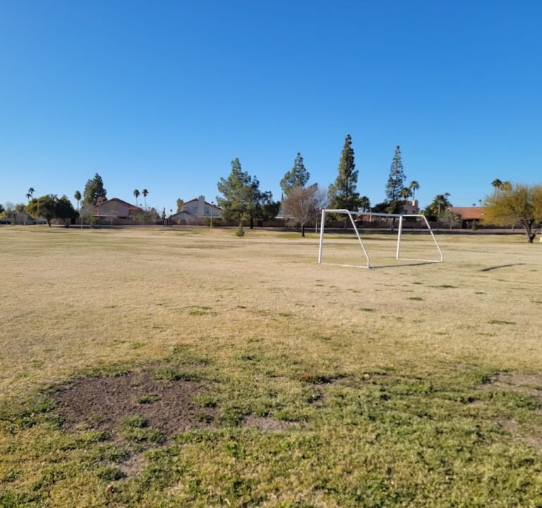 Soccer Field image 2