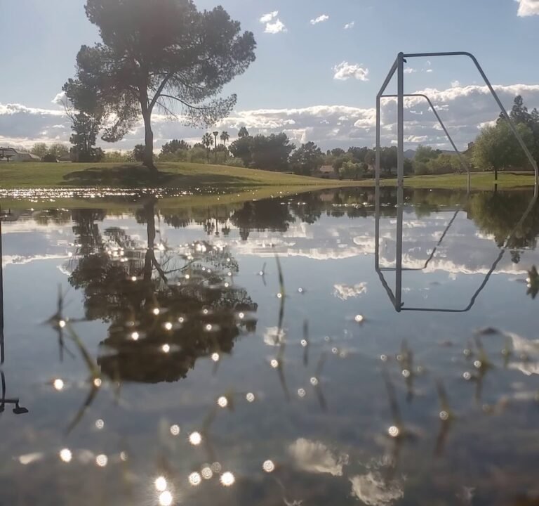Soccer Field image 4