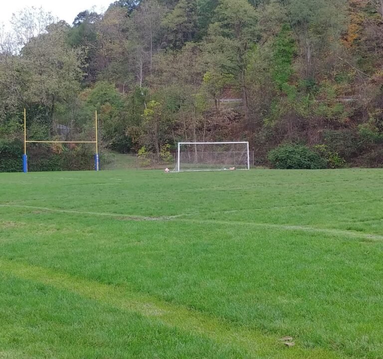 Soccer Field image 3