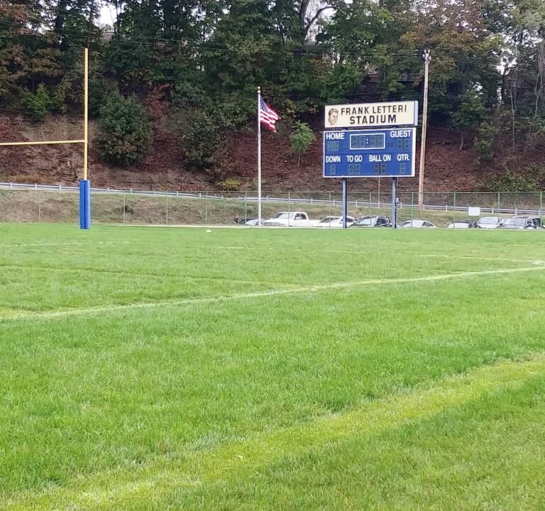 Soccer Field image 2