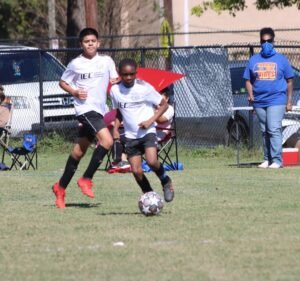 Soccer Field image 2