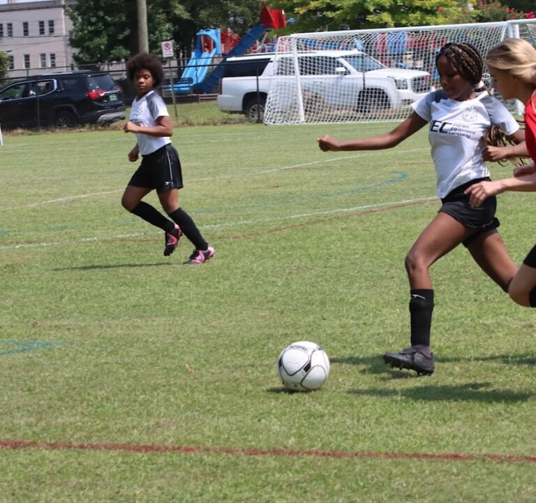 Soccer Field image 3