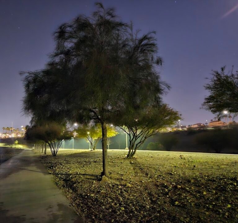 Soccer Field image 3