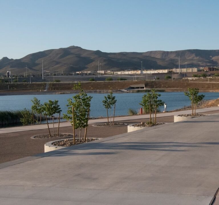 Soccer Field image 2