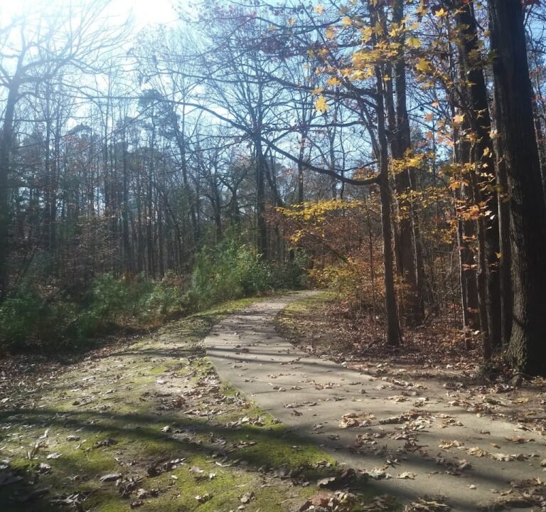 Soccer Field image 2