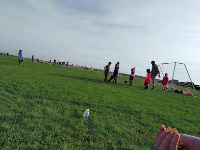 Soccer Field image 1