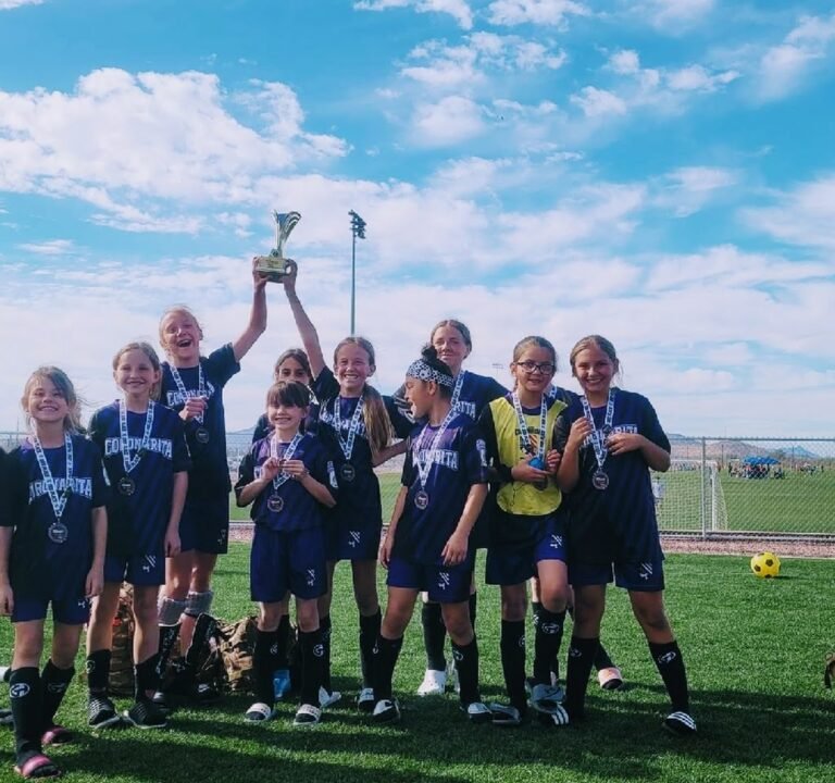 Soccer Field image 2